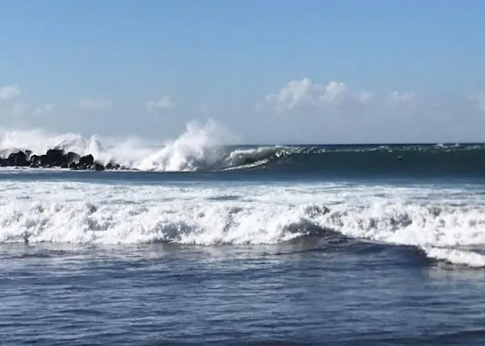 Апартаменты Dream View